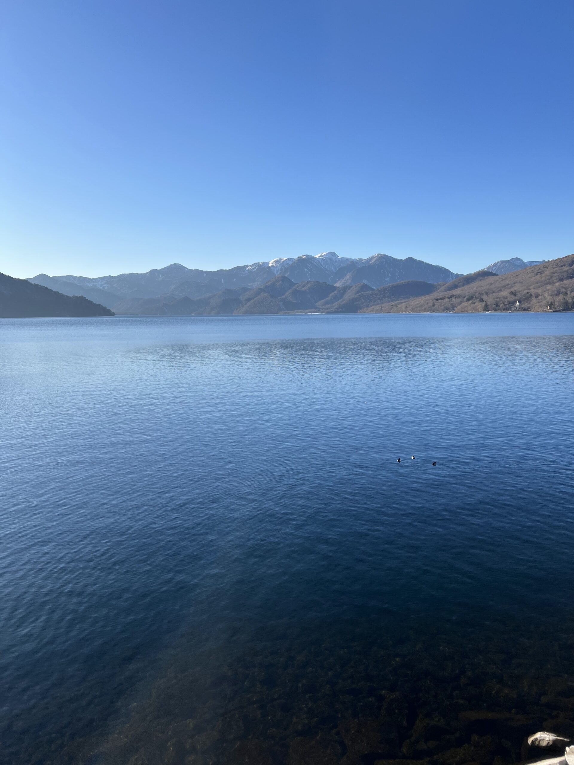 IMG_7615